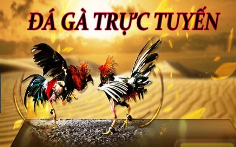 Khám Phá Cách Chơi Đá Gà GA28 Tại Zik88 Hiệu Quả Nhất